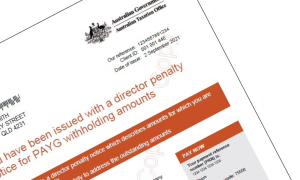 director penalty notices explained